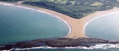 Cola de Ballena